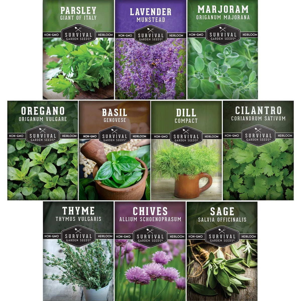 10 Culinary Herb Seeds Variety Pack for Gardening (No Specific Part Numbers)