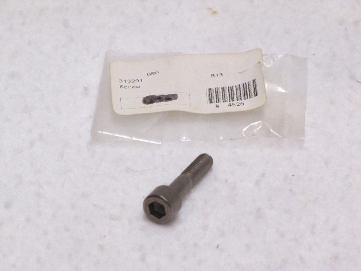 Screw for Johnson Evinrude OMC (0313291)