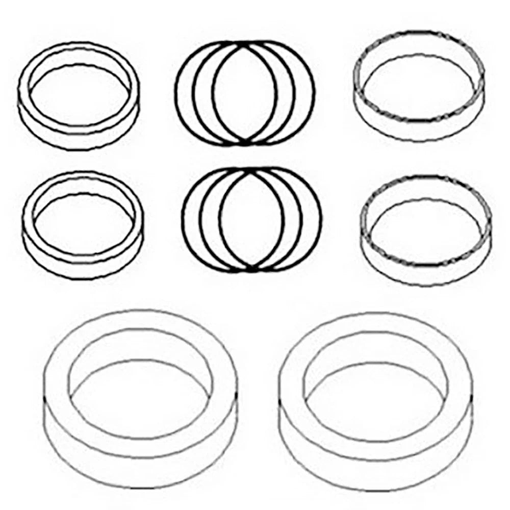 Hydraulic Cylinder Seal Kit for Massey Ferguson Loader Lift (100)