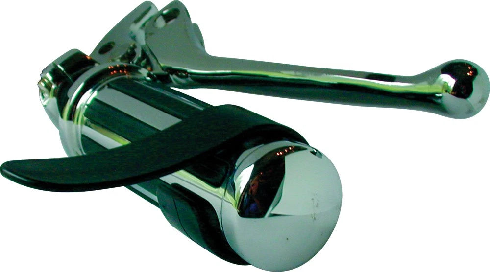 Throttle Control Cruise Assist for Motorcycle (CB4)