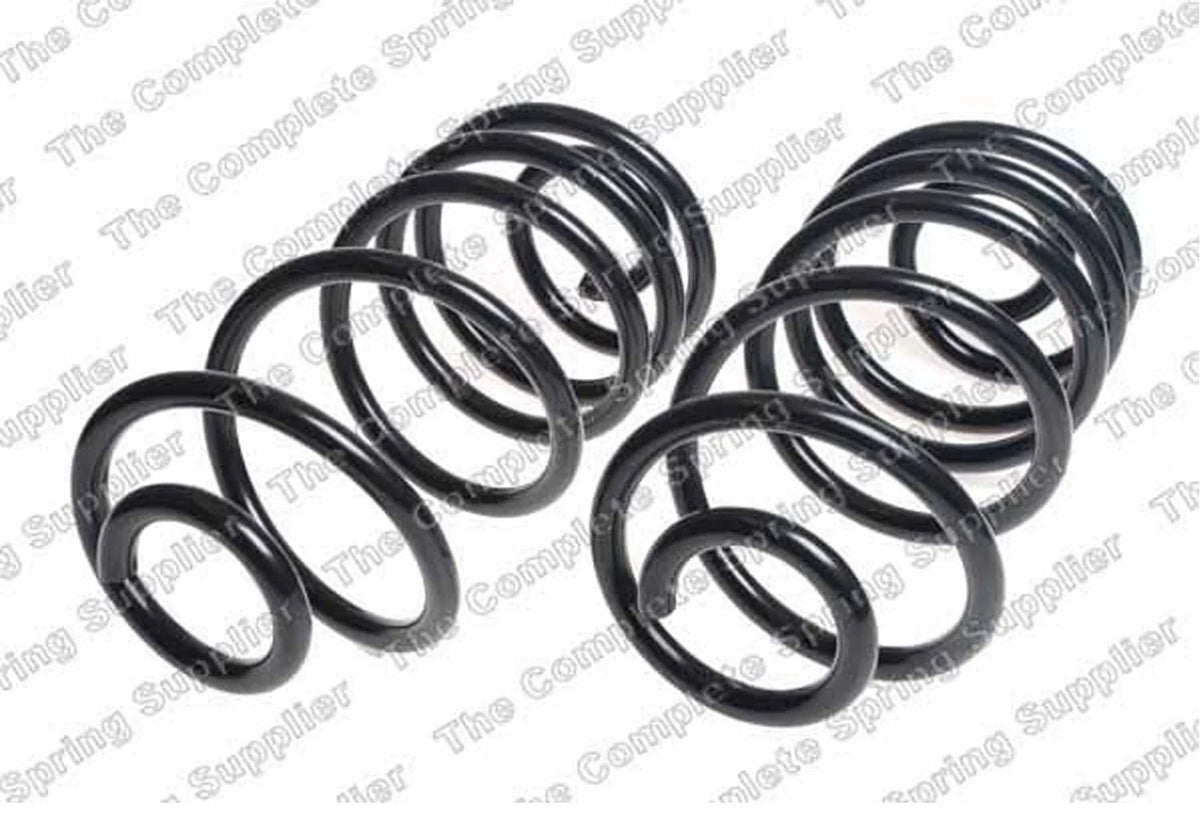 Rear Coil Spring Kit 4412133 for Buick Chevrolet GMC Oldsmobile