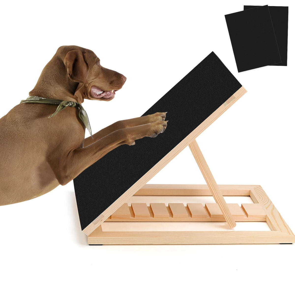 Dog Nail Scratch Pad for Pet Grooming (Replacement Sandpapers Included)