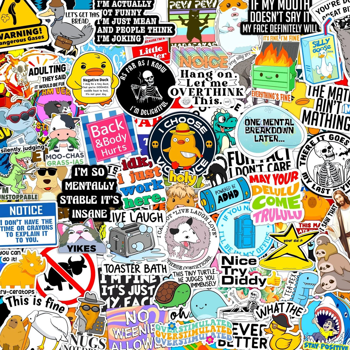 300 Pcs Waterproof Vinyl Decals for Laptop & Water Bottle