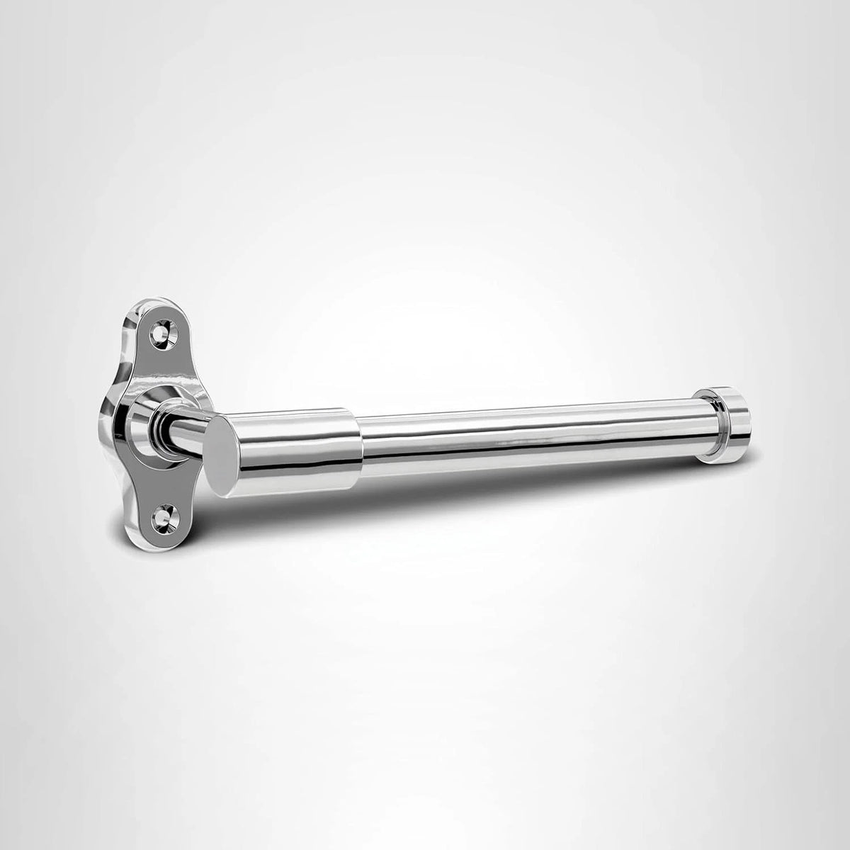 Polished Chrome Euro Toilet Paper Holder for Wall Mount (2010–2023)