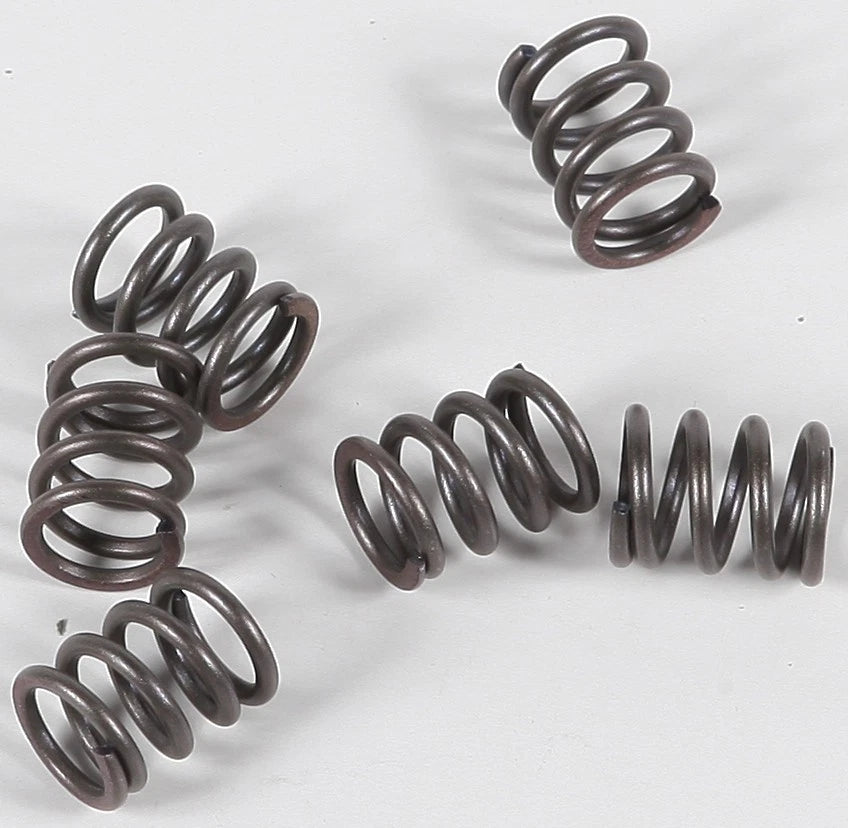 Set of 4 Clutch Springs for EBC CSK21