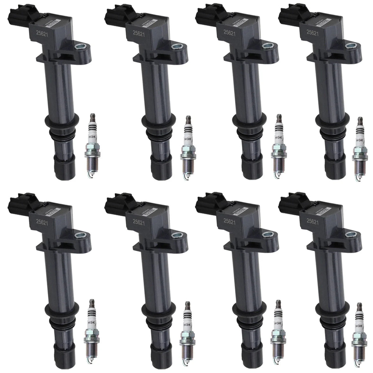 Set of 8 Ignition Coils & NGK Iridium Spark Plugs for Dakota Raider (2000–2004)