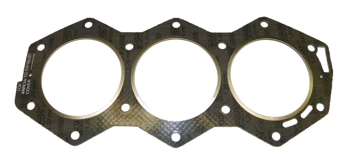 WSM Gasket for