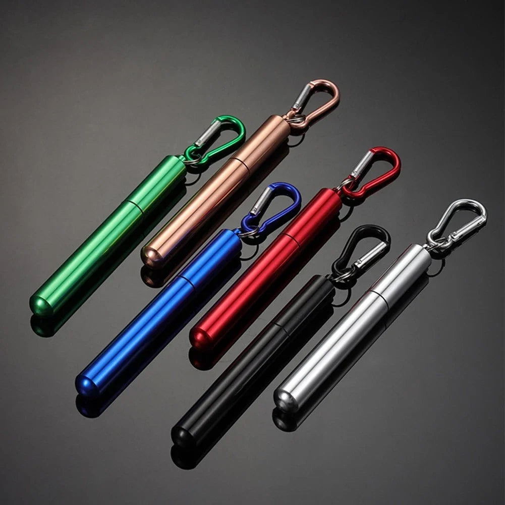 Set of 4 Stainless Steel Straws with Silicone Tip and Keychain Accessory