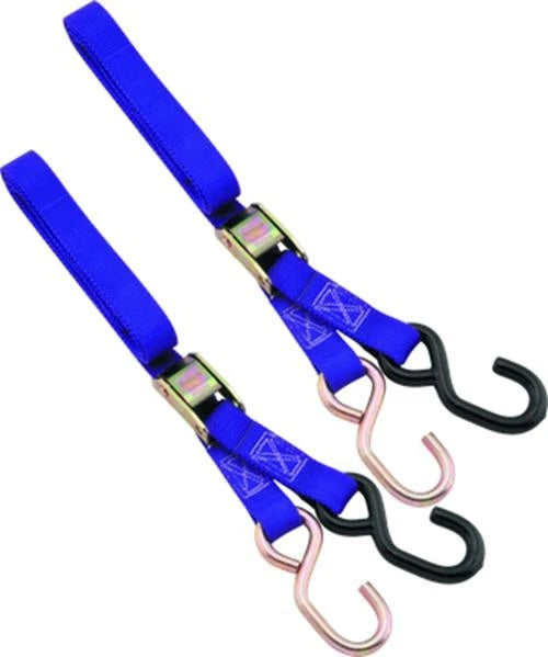 1in Tiedown for BikeMaster - Purple