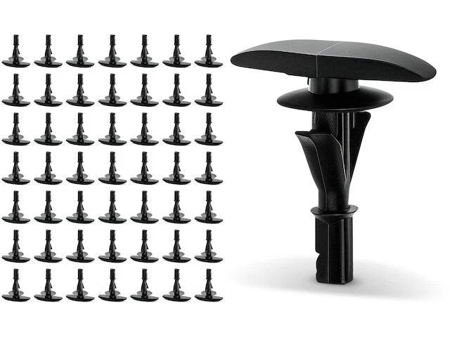 Weatherstrip Fastener Set for Ford F150 Heritage (2004) 18636FSFQ