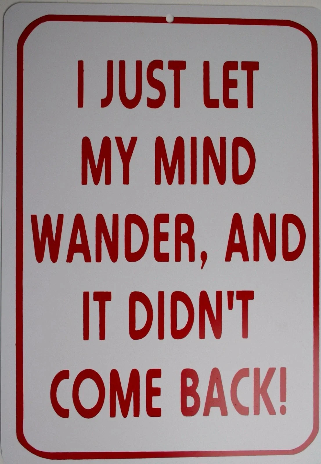 I LET MY MIND WANDER Man Cave Sign - Funny Gag Gift