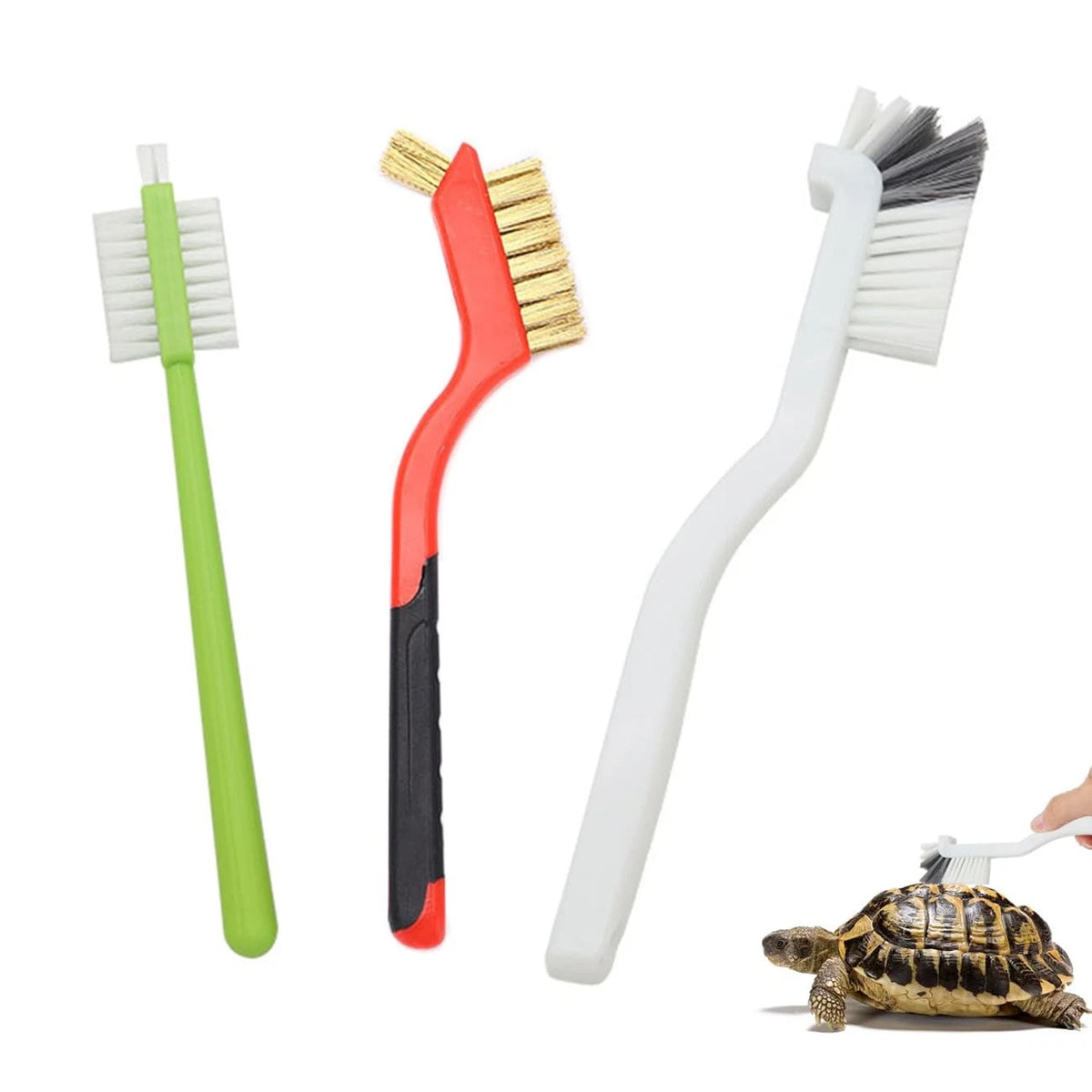 3 Pcs Turtle Cleaning Brush for Aquatic Mud & Dirt Removal