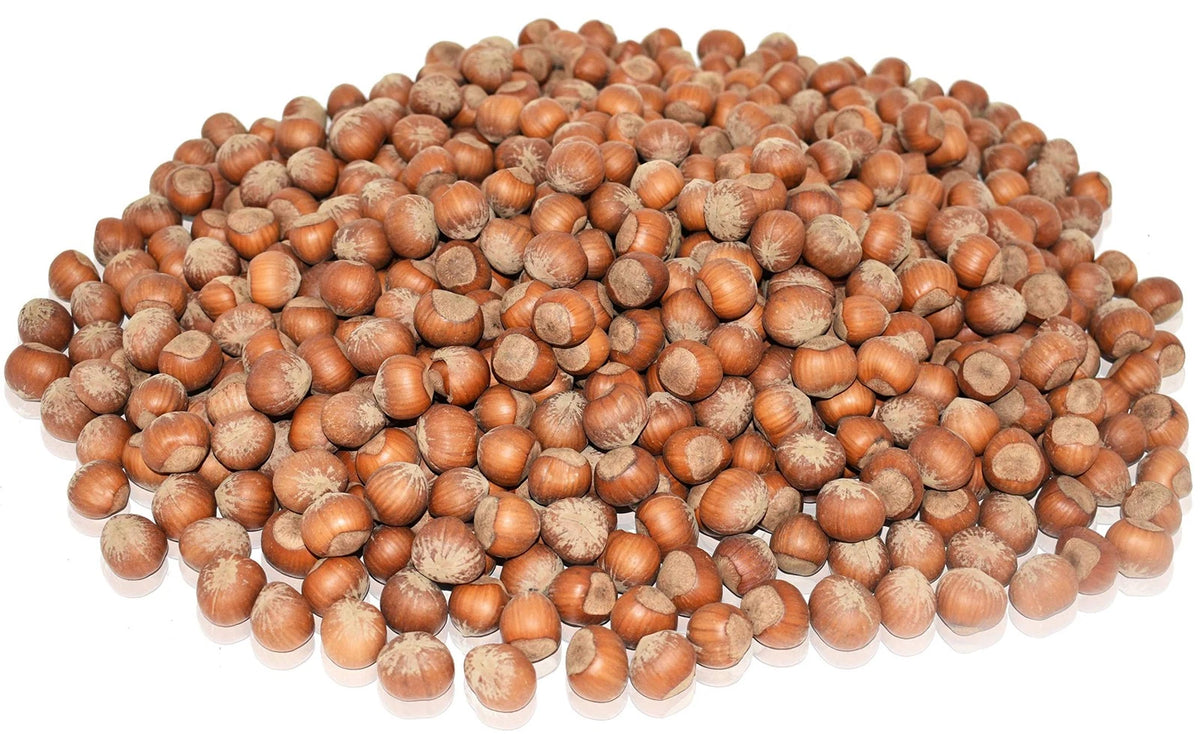 5 Lbs Oregon Hazelnuts in Shell (Pack of 1)
