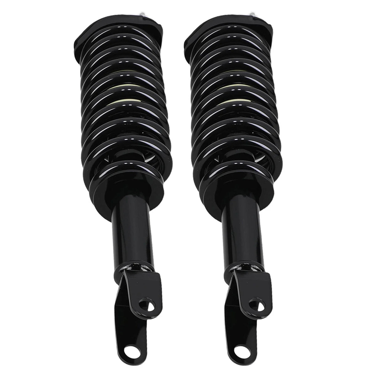 Suspension Kit Front Strut Spring Assembly for Dodge Dakota (2005–2009) RWD