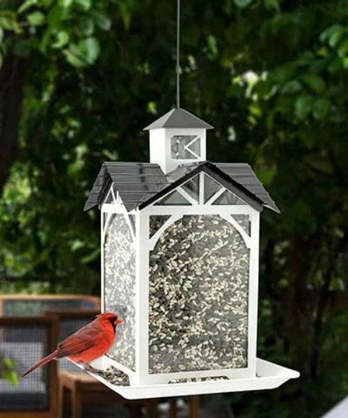 2.5 lb Capacity Hanging Bird Feeder for Modern Farmhouse