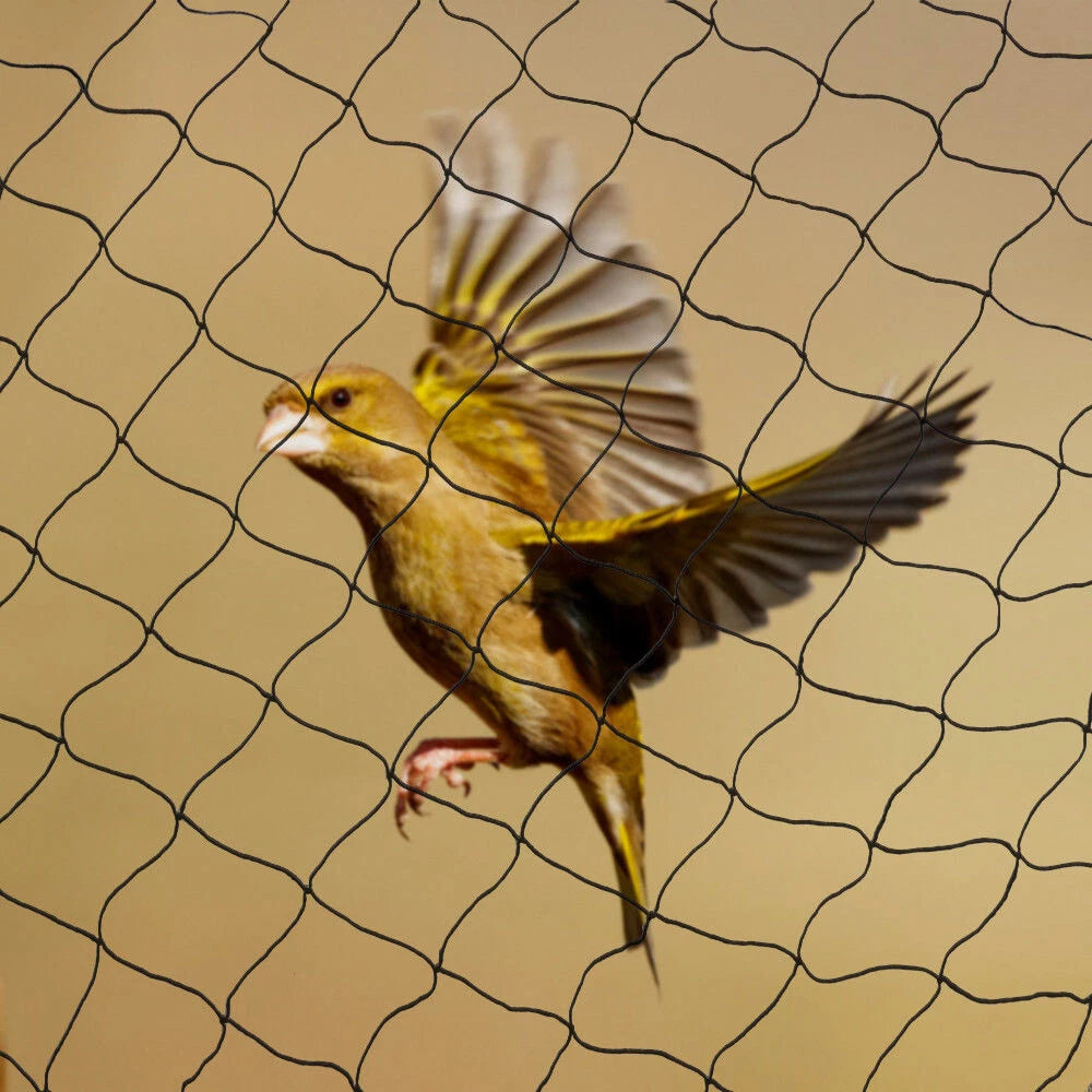 Bird Netting for Poultry Aviary Game Pens (100' x 50')