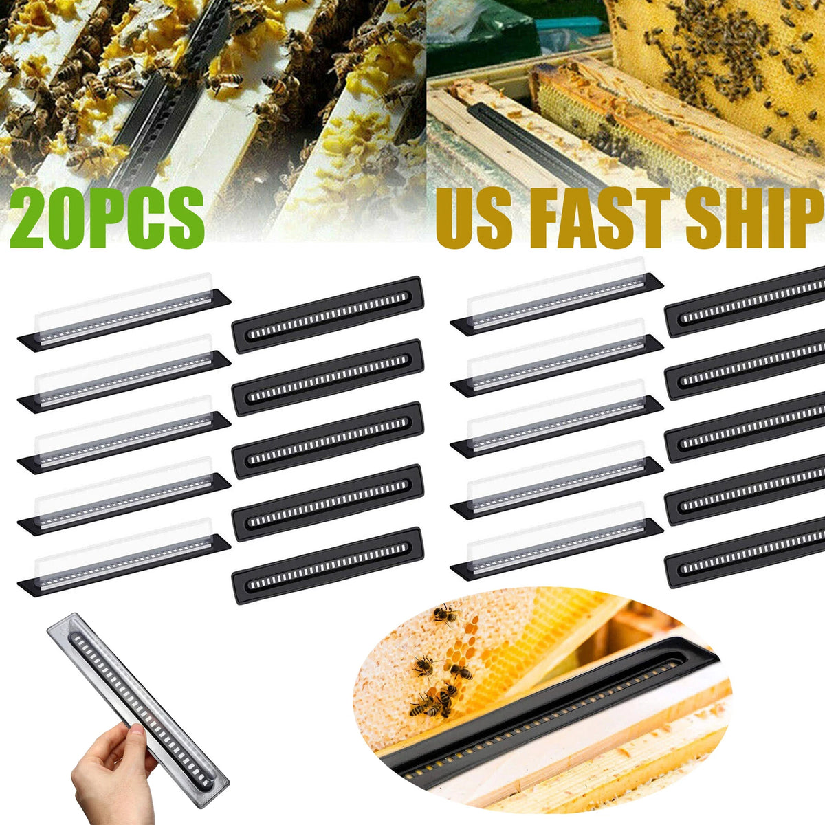 20pcs Plastic Bee Hive Beetle Trap for Beekeeping