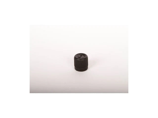 Fuel Pressure Relief Valve Cap for Buick Riviera (92465GQWS)