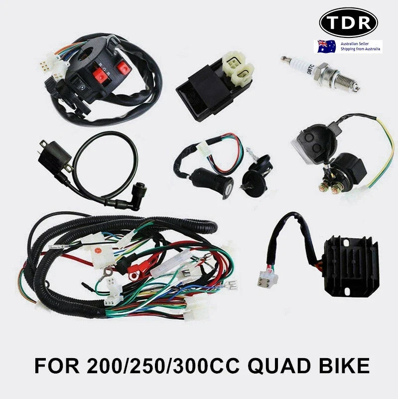 Full Set Electric Wiring Harness for ATV Quad 150/200/250C (CDI)