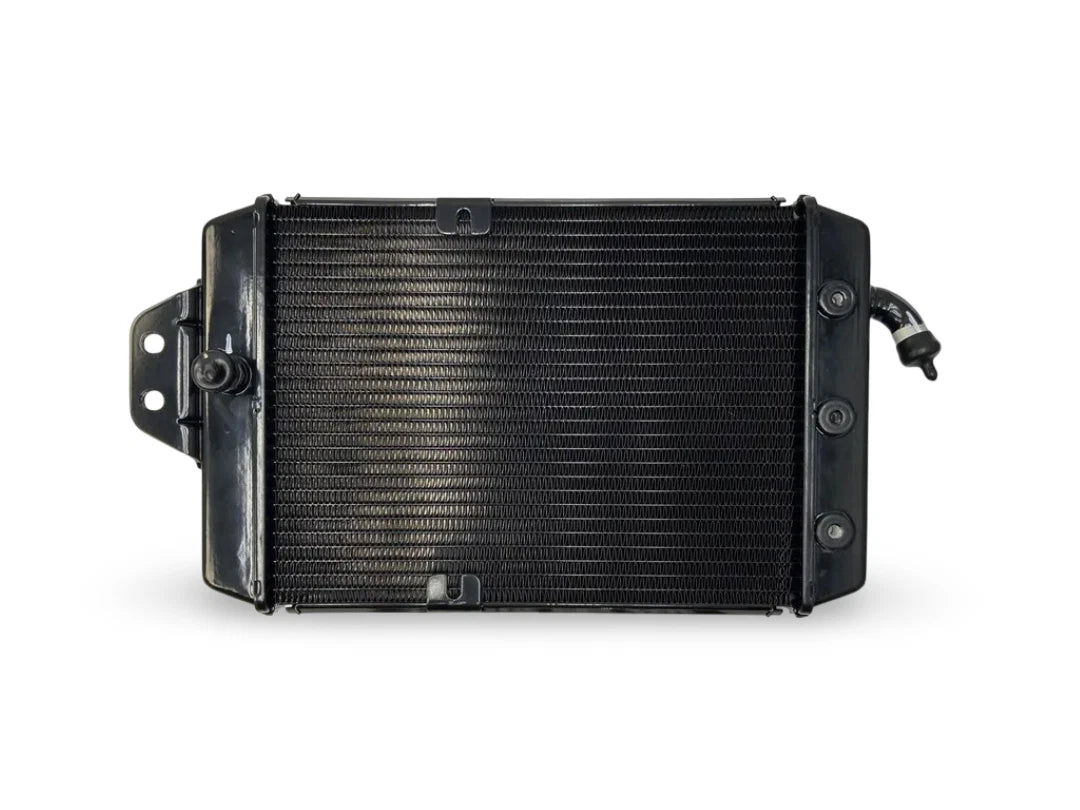 Radiator for Triumph Scrambler 400, Speed 400 (TA601206)