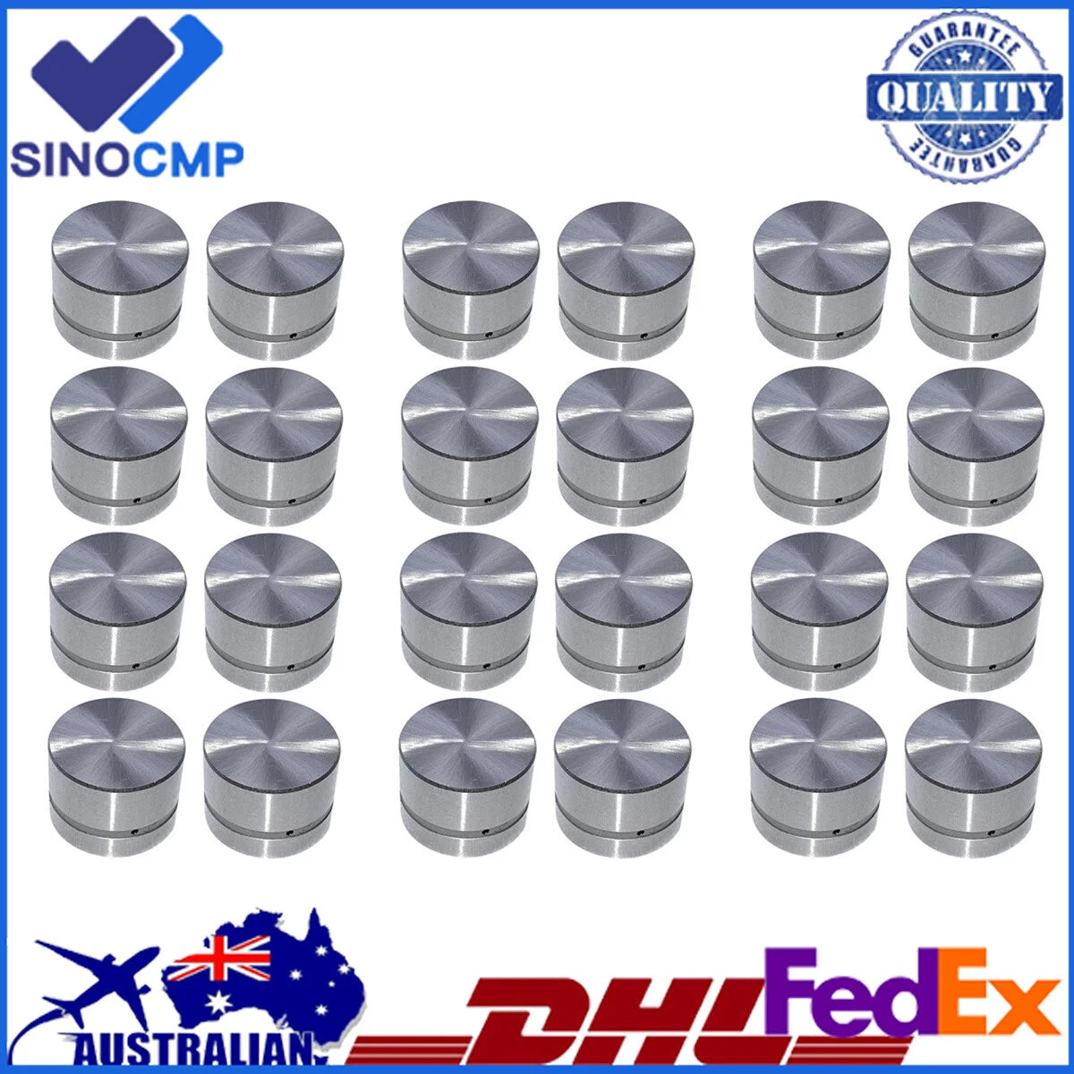 24Pcs Engine Hydraulic Valve Lifters for BMW M52 M54 (1996–2006)