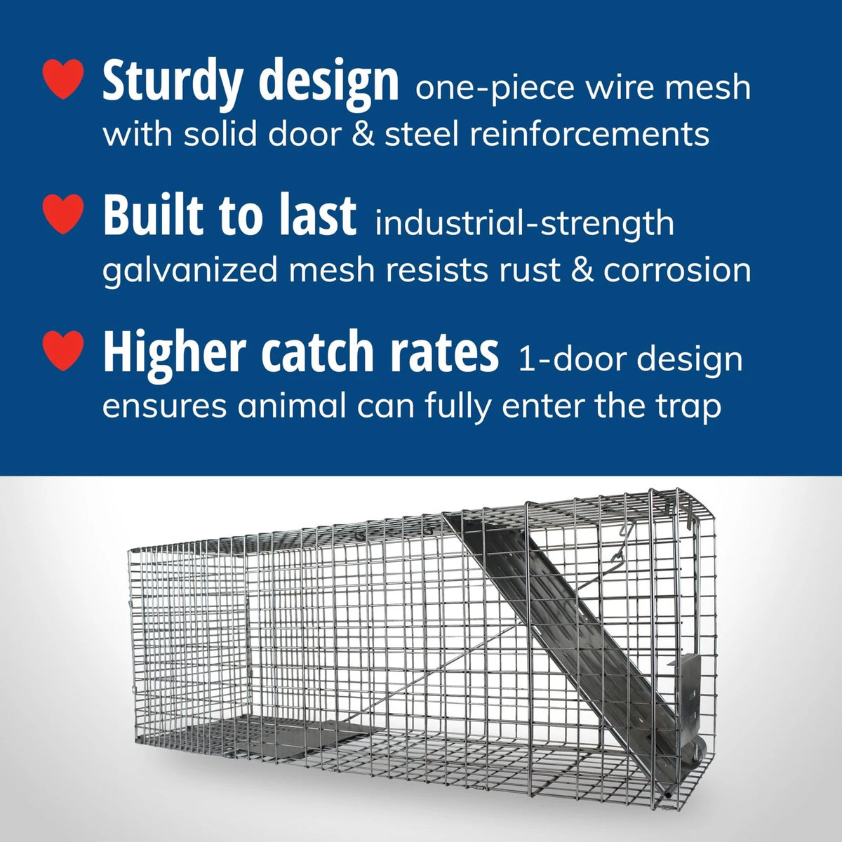 Large 1-Door Live Animal Trap for Raccoons, Cats, Bobcats (1)