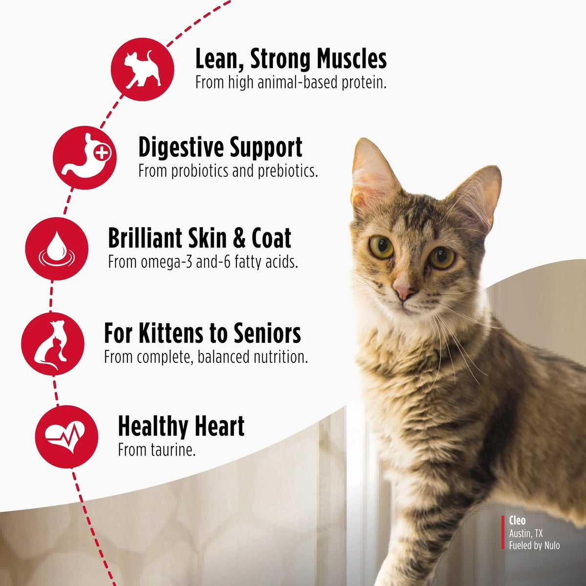 Nulo Freestyle Cat & Kitten Dry Food - Chicken & Cod 4 Pound (Pack of 1)