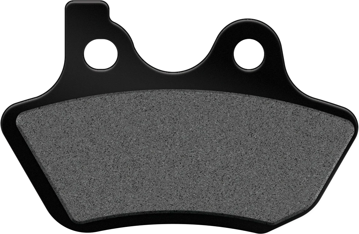 Sintered Brake Pads for Harley Davidson FLHR & FLHTC (2000–2007) HD400HH