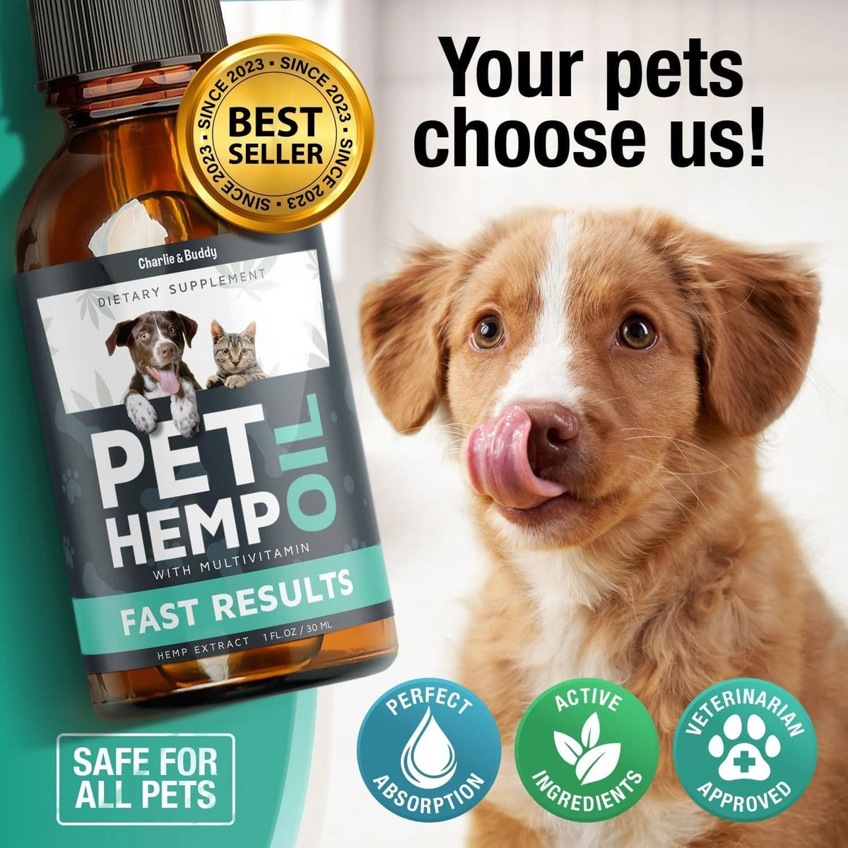 2X Hemp Oil for Dogs Cats (1 Fl Oz Pack)