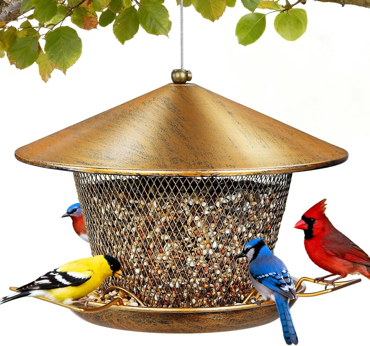 Weather Resistant Outdoor Bird Feeder with 9.8" Dome & Easy Refill