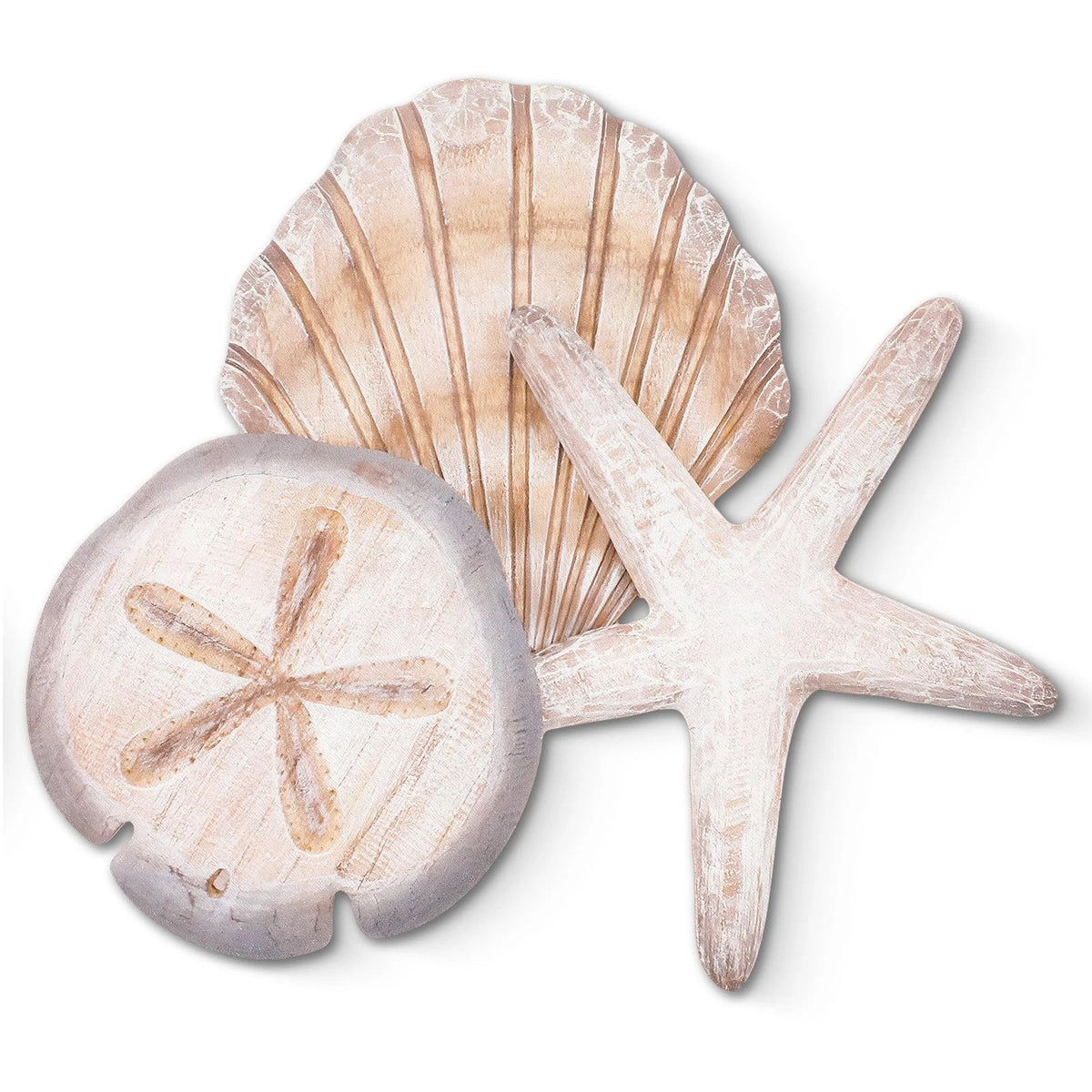 Coastal Sea Shell Wall Art for Beach Decor (11"L x 11"W, Brown)