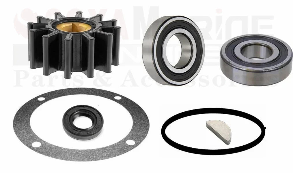 Rebuild Repair Kit for Perkins 4107 4108 Water Pump (NA003335)