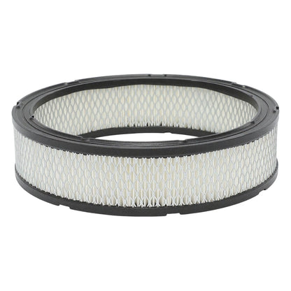Set of 2 Air Filters for Ram Van J Series (17987964, CA184, AF184)