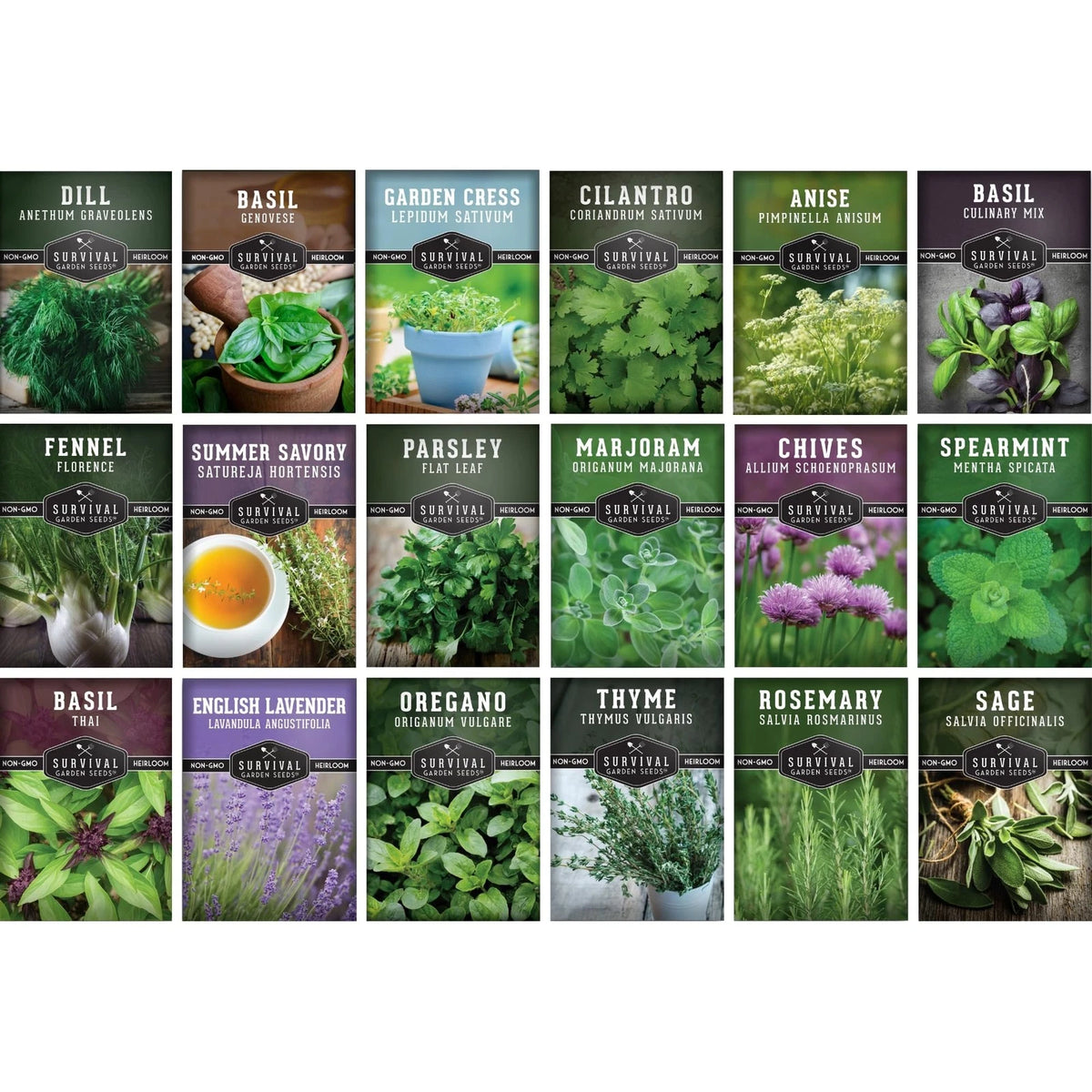 Culinary Herb Seeds Variety Pack for Planting (Heirloom)