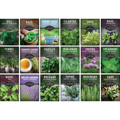 Culinary Herb Seeds Variety Pack for Planting (Heirloom)
