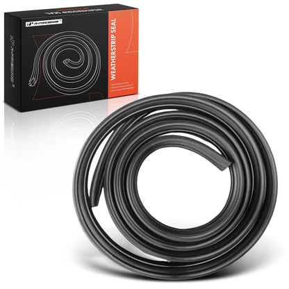 Front Right Inner Door Window Belt Weatherstrip Seal for Ford F-150 (BL3Z1520708B, FO1391168)