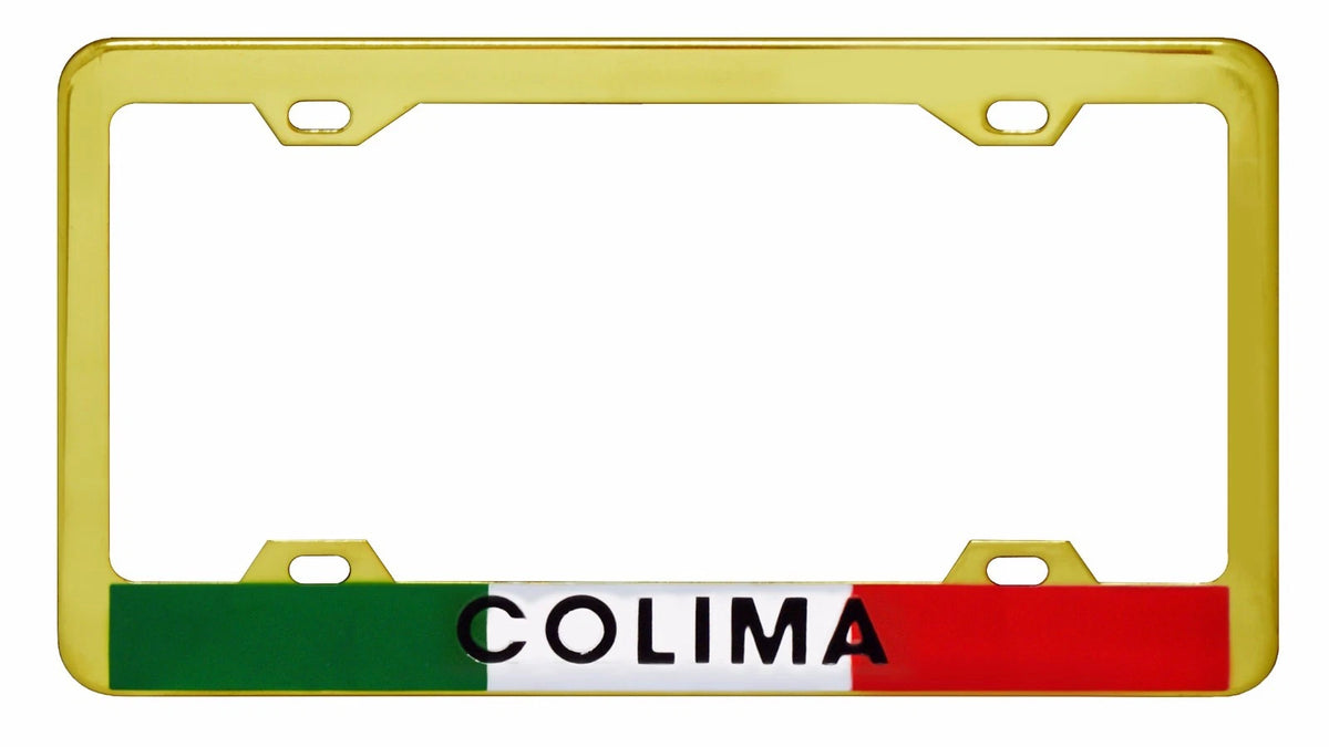 Metal License Plate Frame for Car Truck SUV (WL342G)