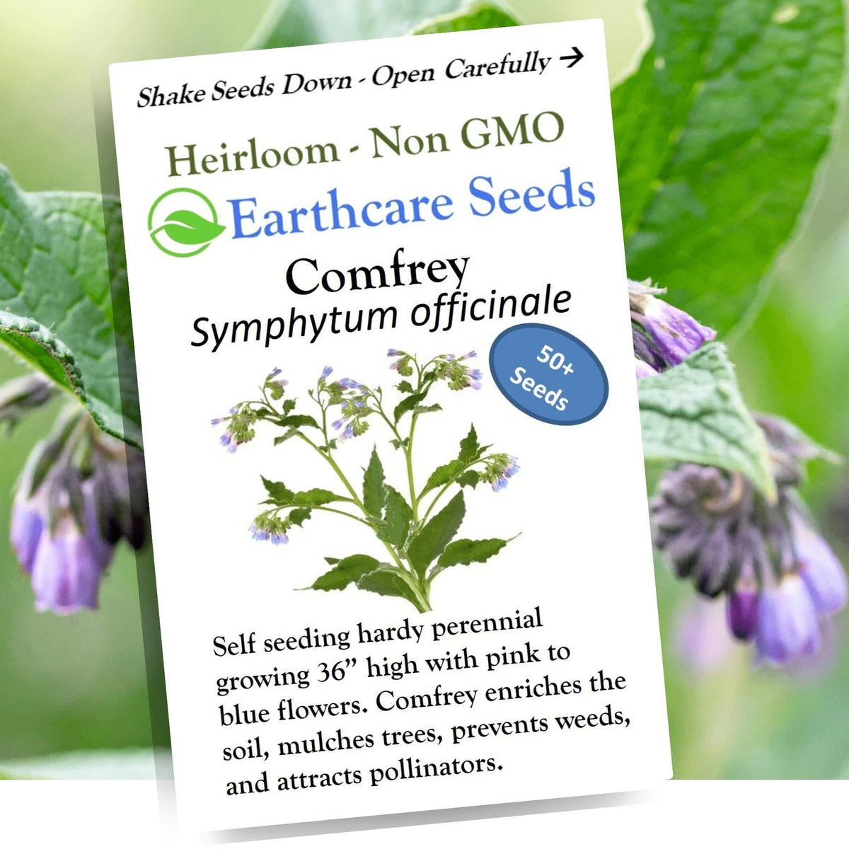 True Comfrey Seeds for Earthcare (50) Non GMO, Purple