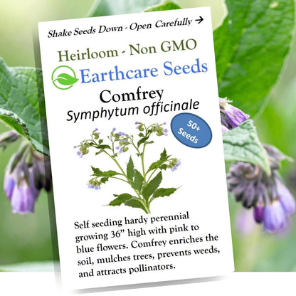 True Comfrey Seeds for Earthcare (50) Non GMO, Purple