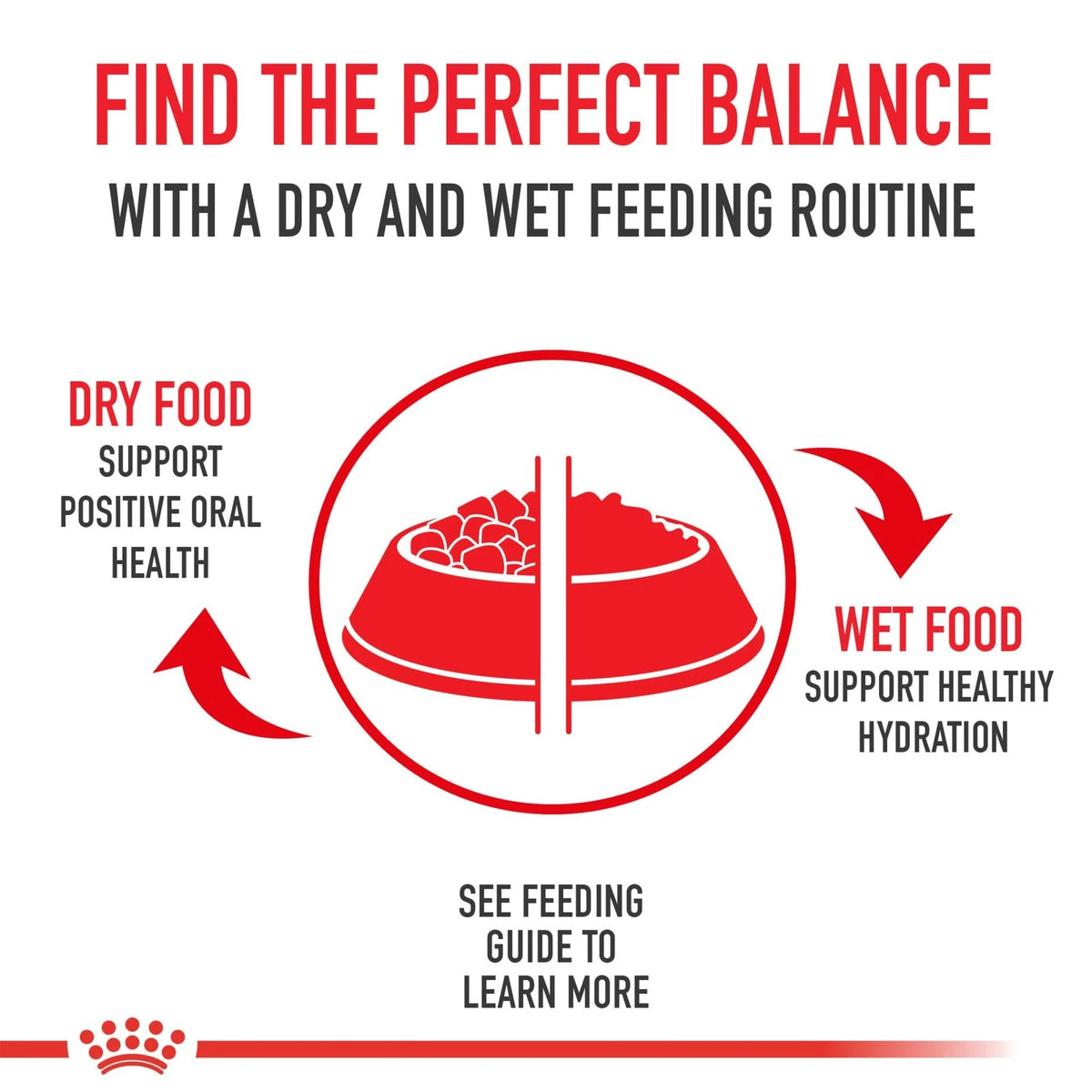 Royal Canin Canine Care Nutrition Small Weight 2.5 Pound (Pack of 1)