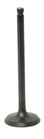 Exhaust Valves for Bronco XU-09164E (AU-09194E)