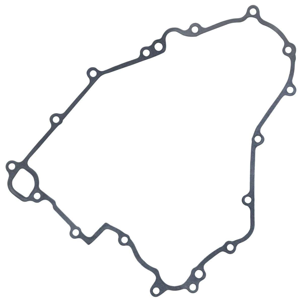 Stator Gasket for Kawasaki Teryx 4 750 (2012–2013) GT424 - LAR