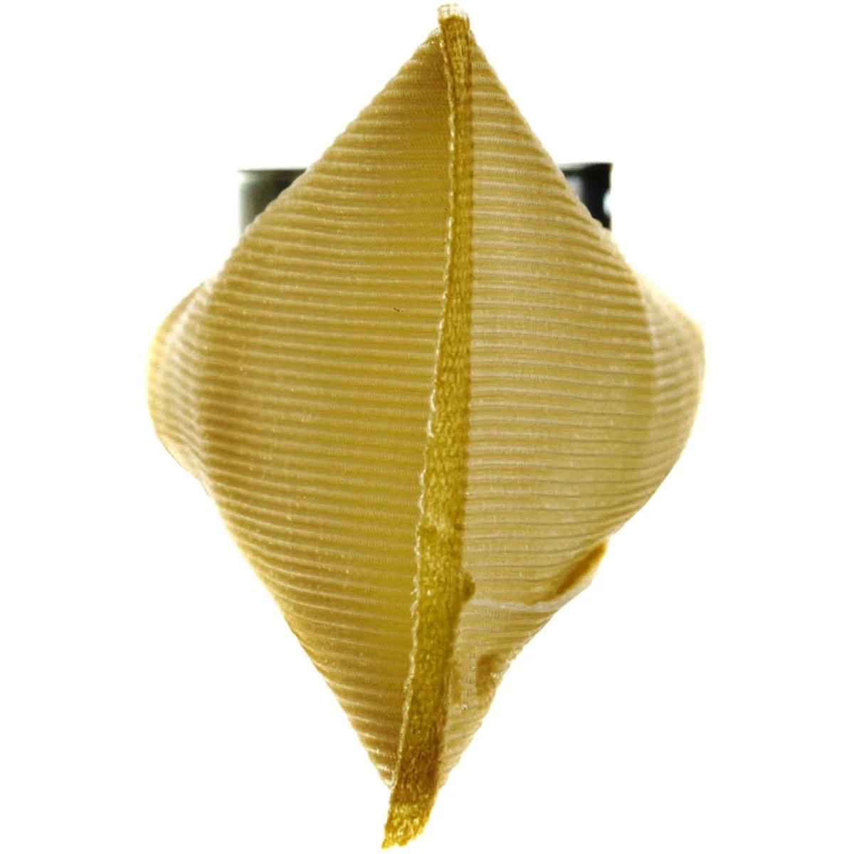 Fuel Pump Strainer for Chevy Express Van/Suburban (1996–2005) FS0031, TS29