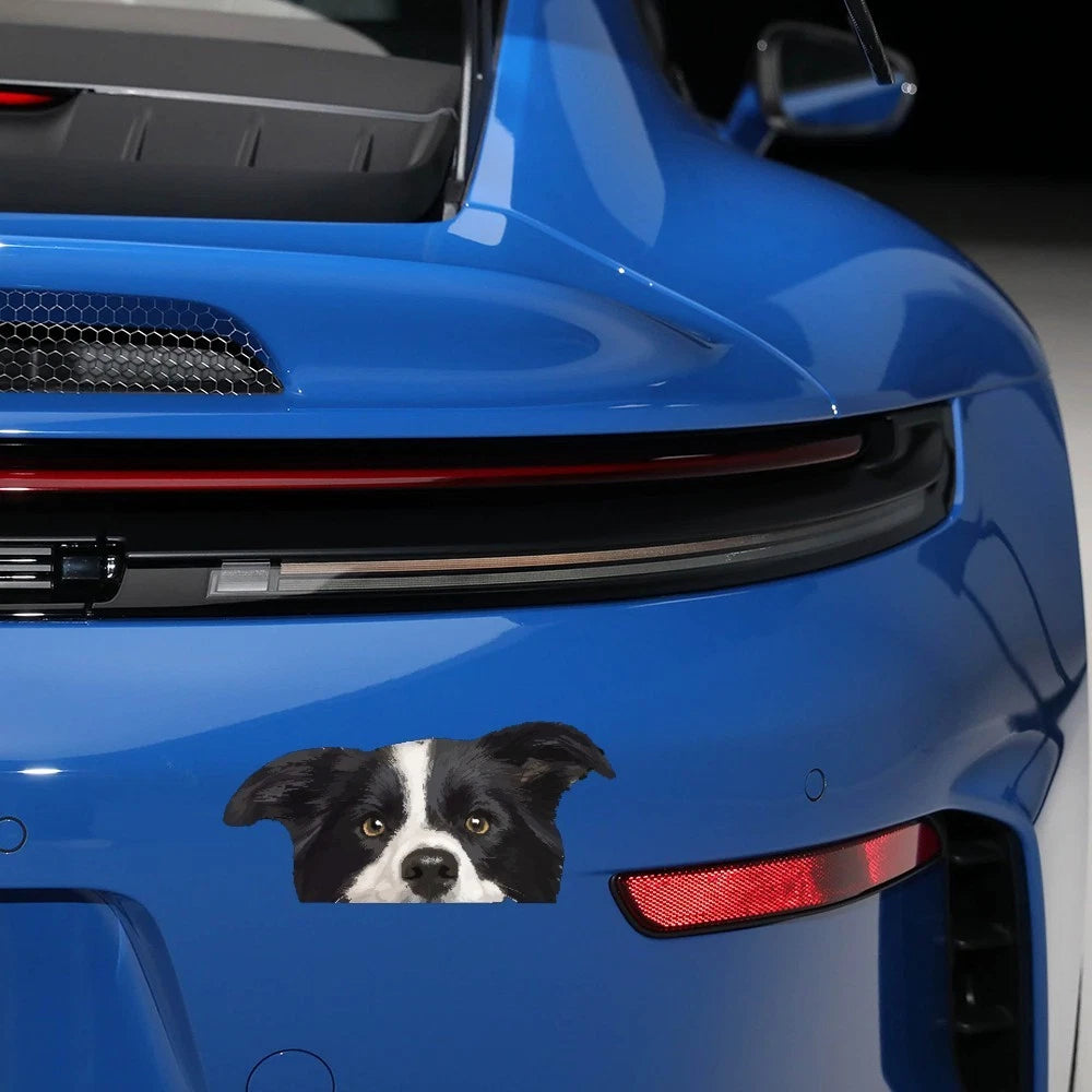Waterproof Border Collie Stickers for Luggage & Car Windows