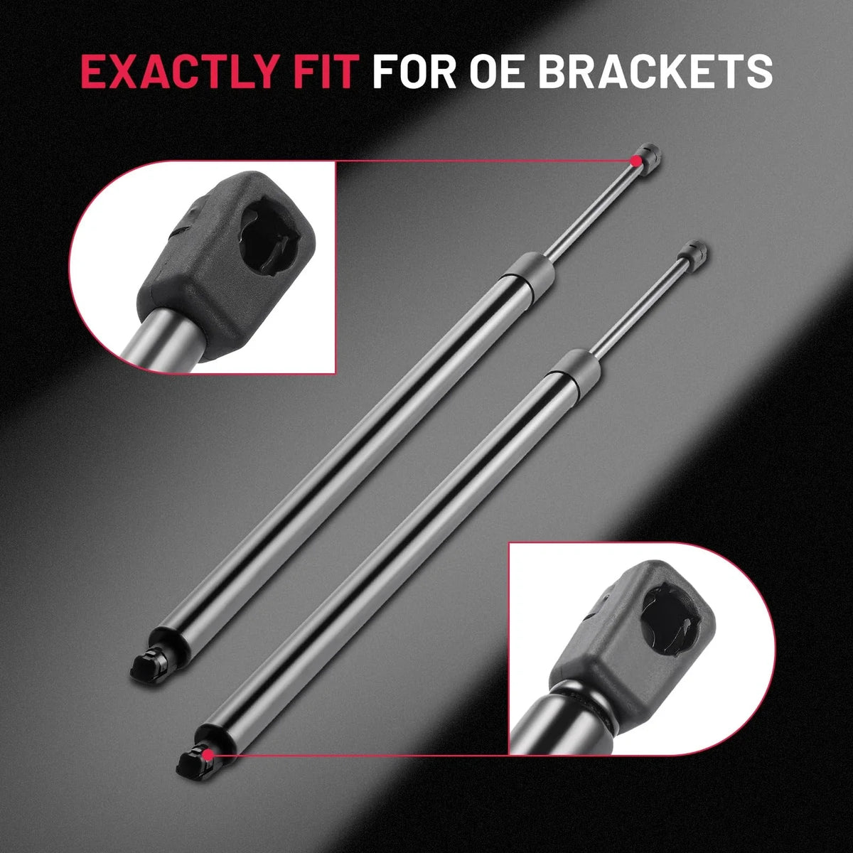2x Tailgate Lift Supports for 2005-2010 Honda Odyssey 3.5L (2005–2010)