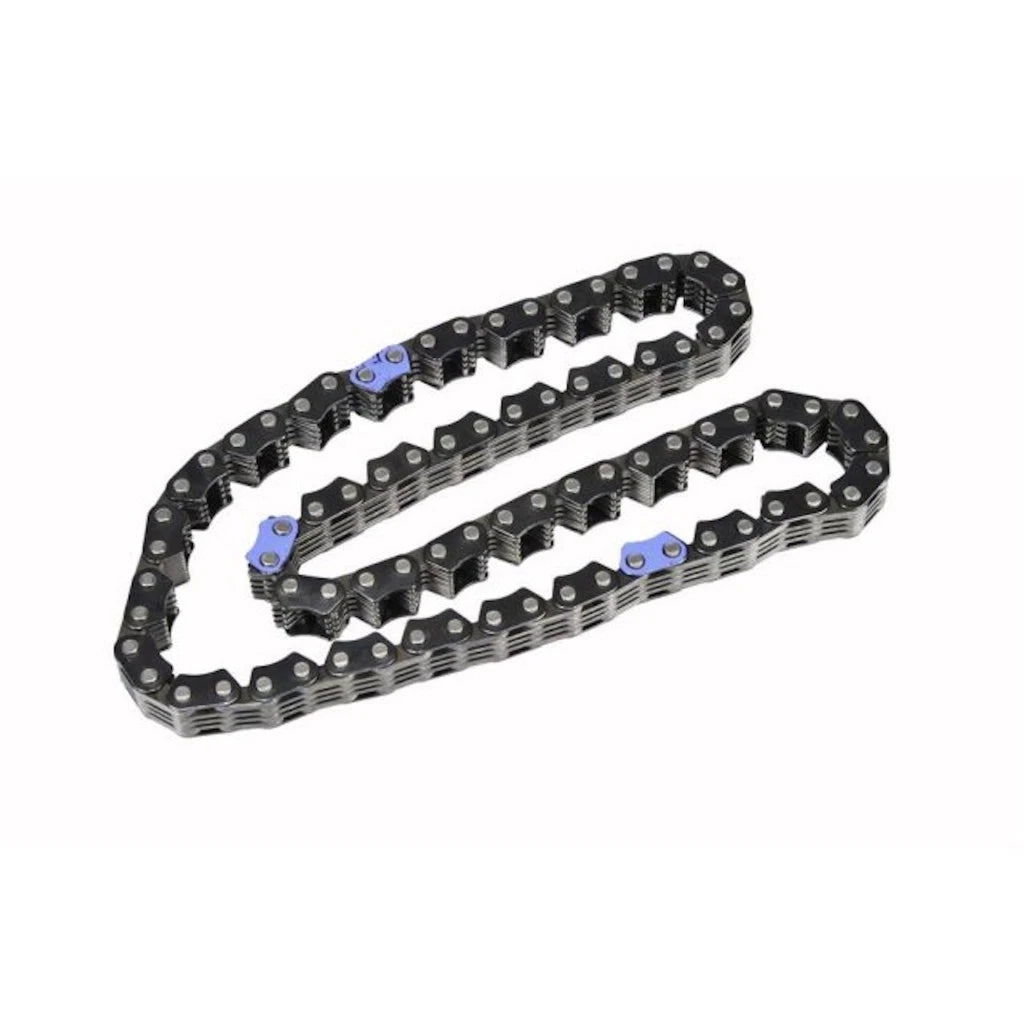 Engine Camshaft Intermediate Chain for Buick Allure (2005–2006) OLX-ACD12597307-CL360A50