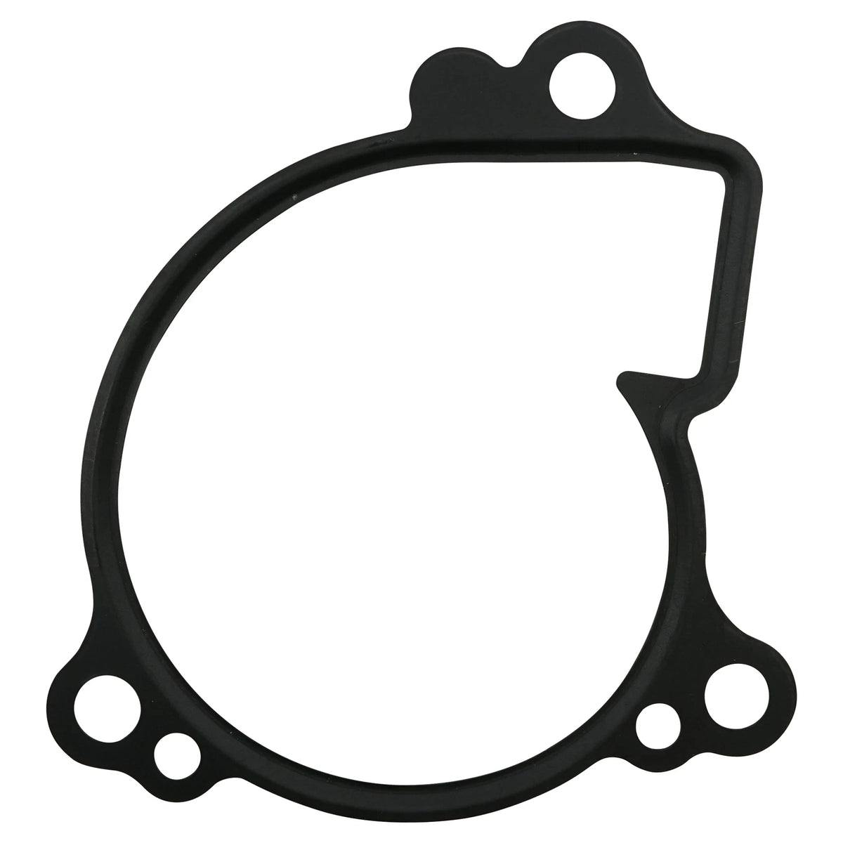 Water Pump Gasket for Yamaha (3B4-12428-00-00, GT559 - LAR)