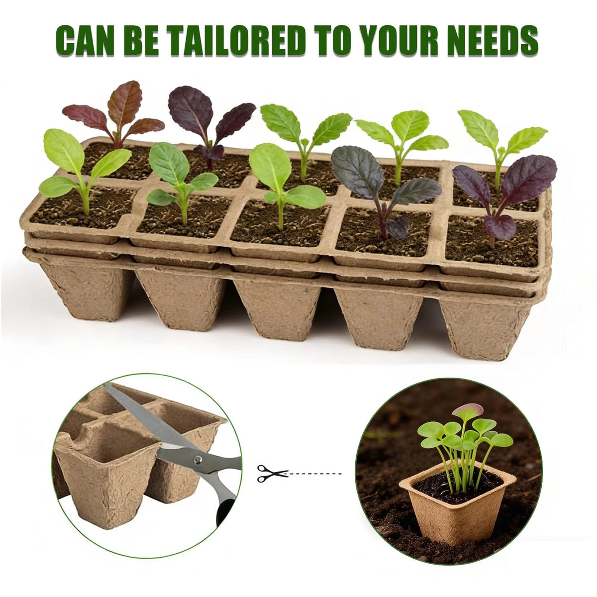 Set of 20 Biodegradable Seedling Trays for 200 Cells