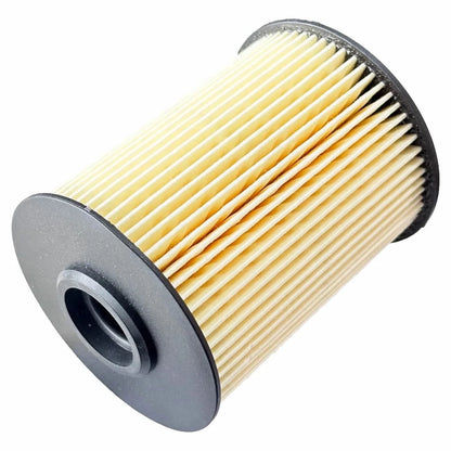 Fuel Filter for Dodge RAM 2500 3500 5.9L Cummins Turbo Diesel (F55360, 5015581AA)