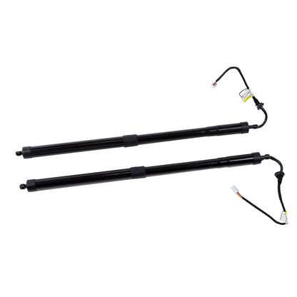 Tailgate Support Bar for Lexus RX350 RX450h (2016–2019) BCK10230K